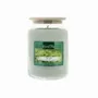 Candles - Colored Wax Candle 670 g Green Tea - LES LUMIERES DU TEMPS