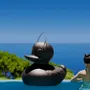 Decorative objects - The MEGADUCK floating sculpture - GOODNIGHT LIGHT