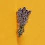 Brooches - Pin Lavender - PINPINPIN.IT