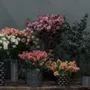 Vases - Autour des fleurs - BONCOEURS
