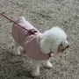 Pet accessories - VAUBAN DOG COAT - CHARLY ET MOI