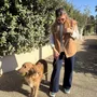 Pet accessories - LEAVE CASSANDRA - CHARLY ET MOI
