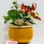 Vases - Basic, Bottle, Koom & Maïko Collections - LES GUIMARDS