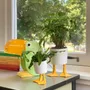 Vases - Bitten Design - Planters & Vases - LA PETITE CENTRALE