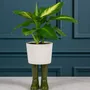 Vases - Bitten Design - Planters & Vases - LA PETITE CENTRALE