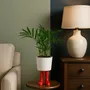 Vases - Bitten Design - Planters & Vases - LA PETITE CENTRALE
