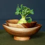 Bowls - Flare bowls on foot - KINTA