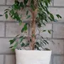 Vases - Vortex vra - ATELIER SCRALAN