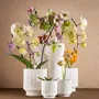 Vases - GAZE vase/ bowl/ votive/ pot - KLATT OBJECTS