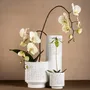 Vases - GAZE vase/ bowl/ votive/ pot - KLATT OBJECTS