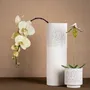 Vases - GAZE vase/ bowl/ votive/ pot - KLATT OBJECTS