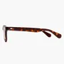 Glasses - Galapagos - Espresso - LNKO