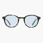 Glasses - Cabo - Tropical Shell - LNKO