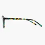 Glasses - Cabo - Tropical Shell - LNKO