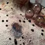 Vases - Vase « Une toucher qui sème la floraison » - GALERIE SANA MOREAU