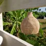 Suspensions - Pendentif the Lobster Trap, Naturel, L - BAZAR BIZAR LIVING