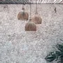 Suspensions - Pendentif the Lobster Trap, Naturel, L - BAZAR BIZAR LIVING