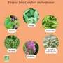 Coffee and tea - Menopause Comfort Organic Herbal Tea - Ritual No. 10 - BULK - 60 g = 4 - PRÈS DES REINES