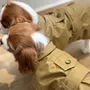 Accessoires animaux - Manteau pour chien style trench - CHARLY ET MOI