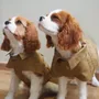 Accessoires animaux - Manteau pour chien style trench - CHARLY ET MOI