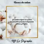 Sculptures, statuettes et miniatures - 1 an : digraphe noces de coton - LE DIGRAPHE
