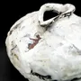 Vases - Vase blanc II, Céramique sauvage - GALERIE SANA MOREAU