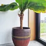 Vases - Aredco - ATELIER SCRALAN