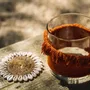 Candlesticks and candle holders - The Oh My Gee Candle Holder - Rust Velvet - S - BAZAR BIZAR LIVING