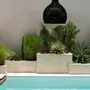 Suspensions - Pendentif The Lobster Trap, noir, L - BAZAR BIZAR LIVING