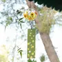 Objets de décoration - CLOCHES FURIN - TIERRA ZEN