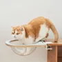 Etagères - Collection Cat Clamp — Meubles modulaires pour animaux de compagnie - POOCH & PURRR DESIGN