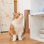 Etagères - Collection Cat Clamp — Meubles modulaires pour animaux de compagnie - POOCH & PURRR DESIGN