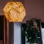 Hanging lights - Pentagonal Pendant Lamp - TAIWAN CRAFTS & DESIGN