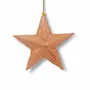 Other Christmas decorations - Trim 3D star capiz pulp - KINTA