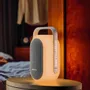 Enceintes et radios - ENCEINTE OUTDOOR ML-625 BT - MUSE