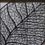 Autres décorations murales - Paper Cut Noir - Découpe Artisanale - NERVURES - LUMBRA BY PELLAS