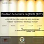 Wall lamps - Lucide JANDERIN - Wall light - LED dim. - CCT - 1x48W - LUCIDE