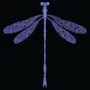 Other wall decoration - Dragonfly Black wallpaper - TUMASOVA DESIGN