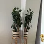 Mirrors - Retro Style Full Length Mirror (98x183cm) - SCANDINAVIAN GLASSFACTORY