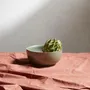 Platter and bowls - Gaia bowls & platters - BE HOME