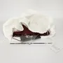 Stemware - Festa Grande! - Square perspex wine glass tray - EGOUNDESIGN