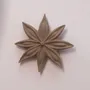 Accessoires de déco extérieure - JANIS (Fleur de badiane) - Ephémère - MONOCHROMIC CERAMIC