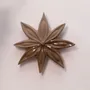 Accessoires de déco extérieure - JANIS (Fleur de badiane) - Ephémère - MONOCHROMIC CERAMIC