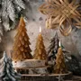 Objets de décoration - Bougie "Sapin" - CIERGERIE DES PREMONTRES