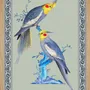 Poster - Illustration Couple de perruches australiennes - PARADISIO IMAGINARIUM