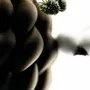 Vases - HARMONY - ARTEMA