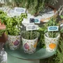Vases - NOS VASES ET CACHES POTS - CHABI CHIC