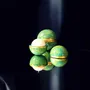 Cadeaux - Bougie Globe Bollywood Jasmin - PONPON CURIOSITAS