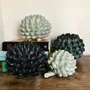 Objets de décoration - Objet décoratif  "Artichaut vert" - GALERIE SANA MOREAU