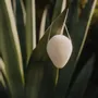 Beauty products - Konjac facial sponge | Sustainable + Natural beauty tool - AZUR NATURAL BODY CARE